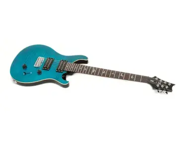 PRS SE Custom 24 7-String Maple Veneer