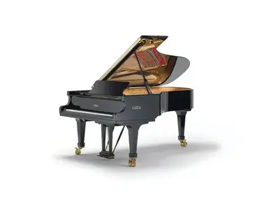 Fazioli F228