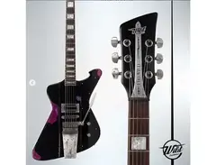WildCustomGuitars Costum Firewild