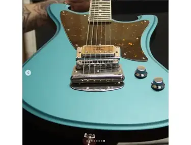 WildCustomGuitars Custom Wildmaster