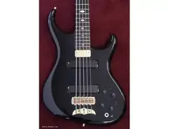 Alembic Europa 5-String Bass Guitar main image