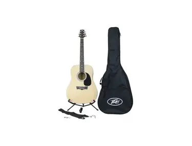 Peavey Rockmaster Acoustic Guitar