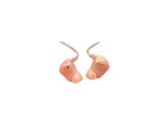 Ultimate Ears UE-5 - In Ear Monitors