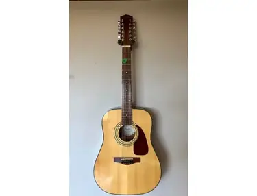 Fender DG - 14S / 12