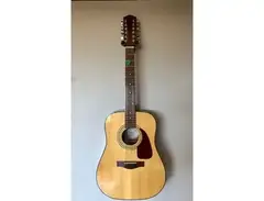 Fender DG - 14S / 12