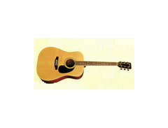 F. Hashimoto W320 main image