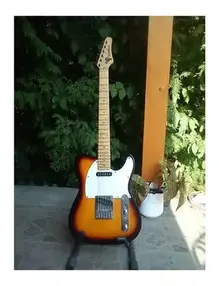Washburn Lyon Series Telecaster