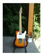 Washburn Lyon Series Telecaster main image