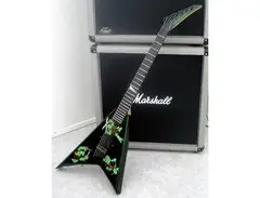 Dan Spitz Custom Ninja Turtle Rhoads