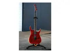 Skervesen Dan Spitz Custom Raptor 6