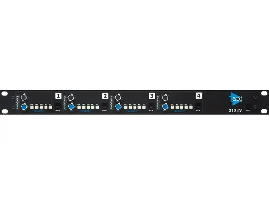 API 3124V