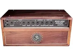Bludotone Custom Amp main image