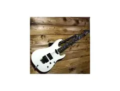 B.C. Rich Assassin USA Custom Electric Guitar