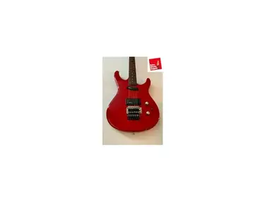 washburn G4