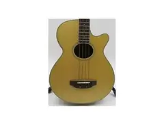 Hohner Acoustic Bass HAB-40N