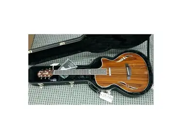 Crafter sa-arw Electro Acoustic Guitar