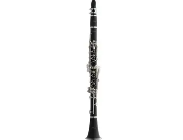 Stagg WS-CL110