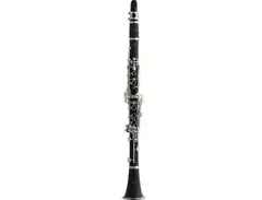 Stagg WS-CL110 main image