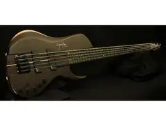 SimpleBass EX 5 (Fretless)