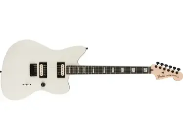 Fender Jim root Signature Jazzmaster