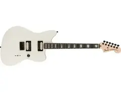 Fender Jim root Signature Jazzmaster