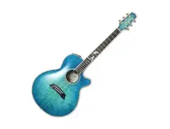 Takamine LTD 2016 Decoy