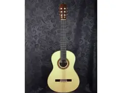 Otto Vowinkel Concert Model main image