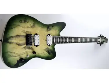 Fast Guitars Roamer