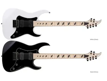 Caparison Dellinger Jsm Joel Stroetzel Signature Guitar