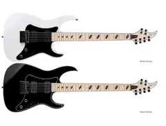 Caparison Dellinger Jsm Joel Stroetzel Signature Guitar