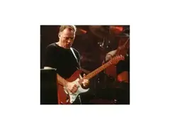 David Gilmour's Signature 4-1/4" Tremolo Arm
