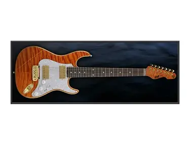 ESP Snapper-7 Ohmura Custom