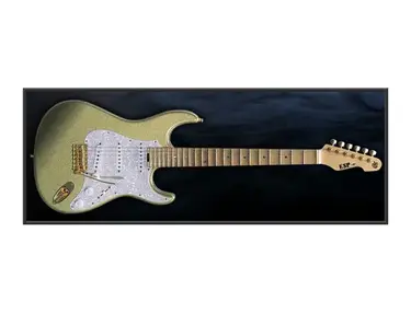 ESP SNAPPER Ohmura Custom "Eclipse Gold"