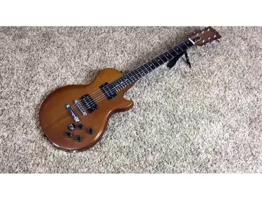 Gibson Les Paul Firebrand