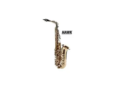 Hawk Sax WD-S414 Alto Saxophone