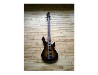 Johnson Instruments JJ 850 Bass