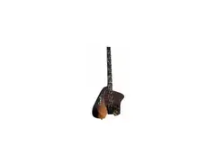 Curtis Guitars ReKleiner (Standard) main image