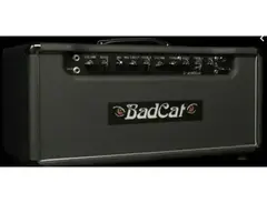 Bad Cat Panther Head main image