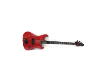 Westone Spectrum DX Bass