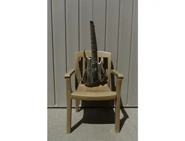 Ormsby Goliath 6 Strings