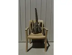 Ormsby Goliath 6 Strings main image