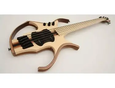 Stega Bass in walnut, mahogany and maple.