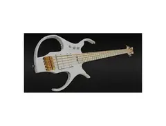 Stega Pearl 5-String Bass by Paul Lairat. main image