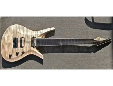 ViK Guitars Duality