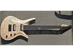 ViK Guitars Duality main image