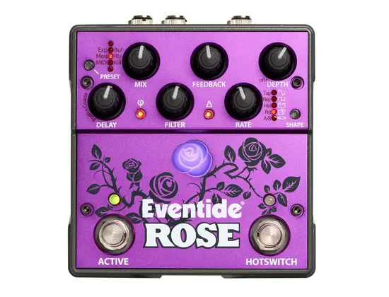 Eventide Rose