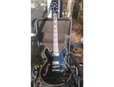 Firefly Guitars Semi-Hollow Body 335