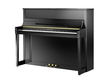 Schimmel C-120 Elegance Manhattan