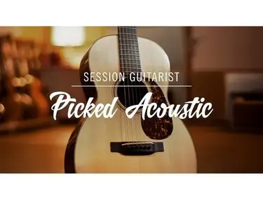 Session Guitarist - Picked Acoustic