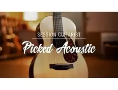 Session Guitarist - Picked Acoustic